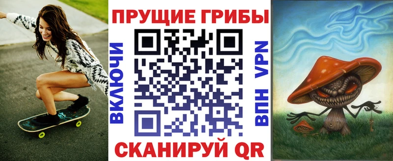 цена   Инза  Псилоцибиновые грибы Magic Shrooms 